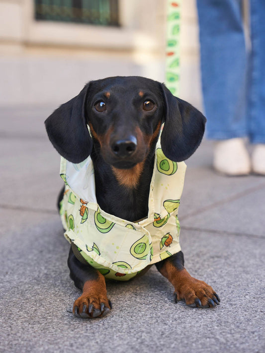 Dukier - Impermeável Abacate