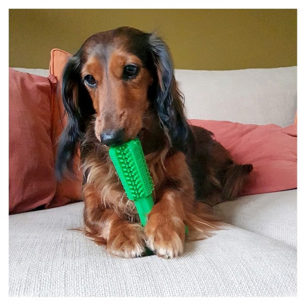 DuvoPlus - Escova de Dentes de Borracha - Chew'n Play