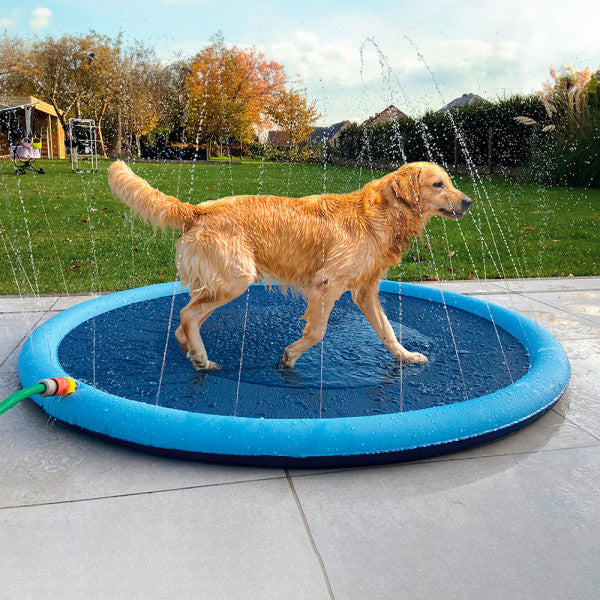 Duvo Plus - Piscina Splash para Cão