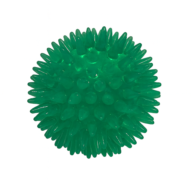 Bola com Espinhos de Borracha