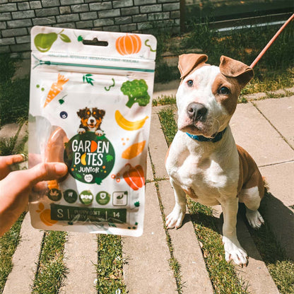 Garden Bites Fruity Friends - Snacks de Fruta para Cão Puppy