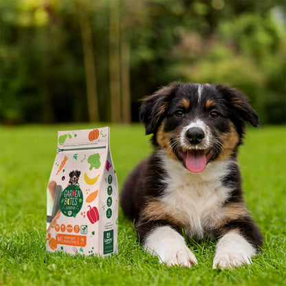 Garden Bites Veggie Sticks - Snacks de Vegetais para Cão Puppy