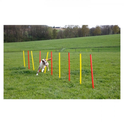 Kerbl - Conjunto de Agilidade para Cão