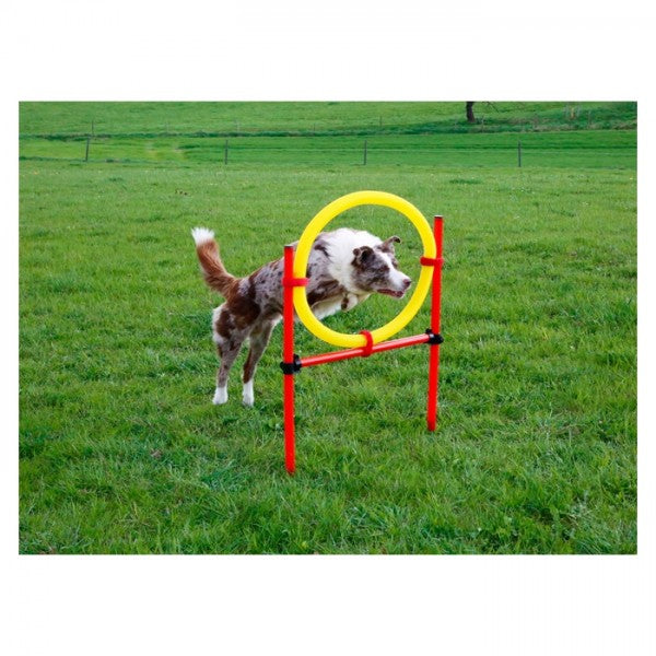Kerbl - Conjunto de Agilidade para Cão