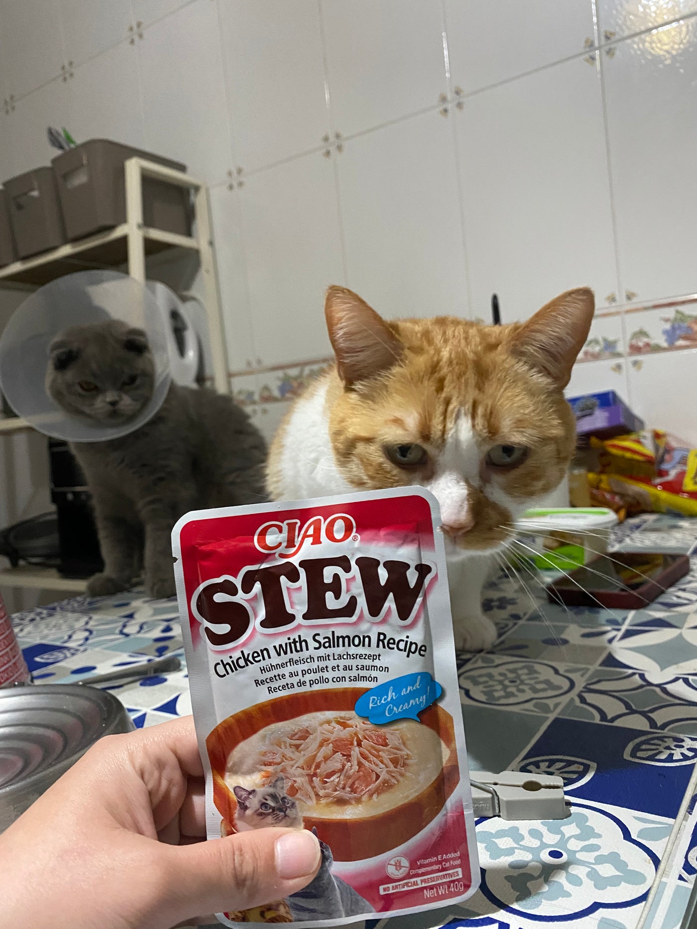 Simba e Loki