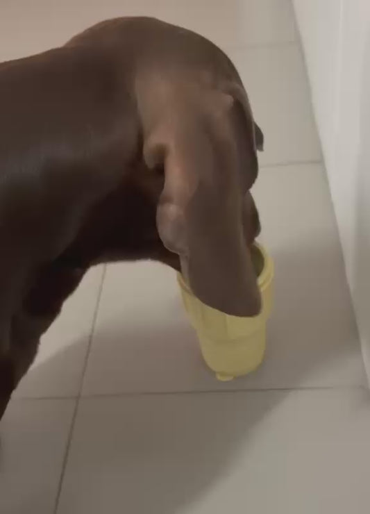 Coolpets - Molde de Gelado Ice Cream para Cão
