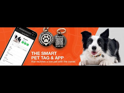 Max & Molly - Coleira Retro Blue com ID Tag