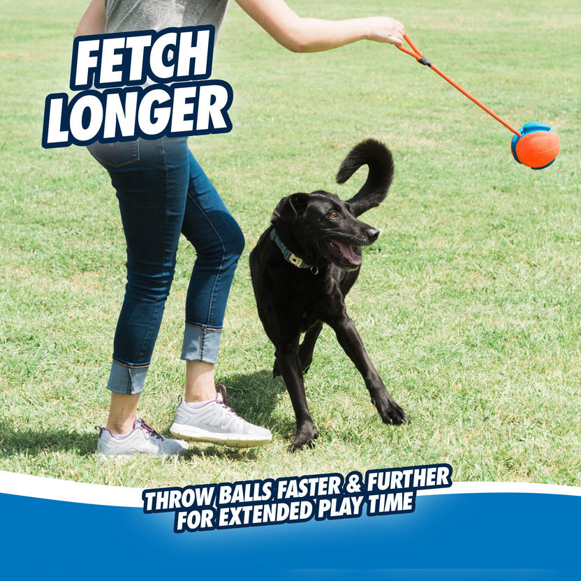 Chuckit! Rope Fetch - Bola com Corda para Cão