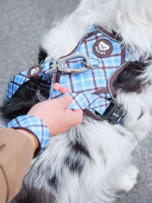 Dukier - Trela Xadrez Blue Mocca