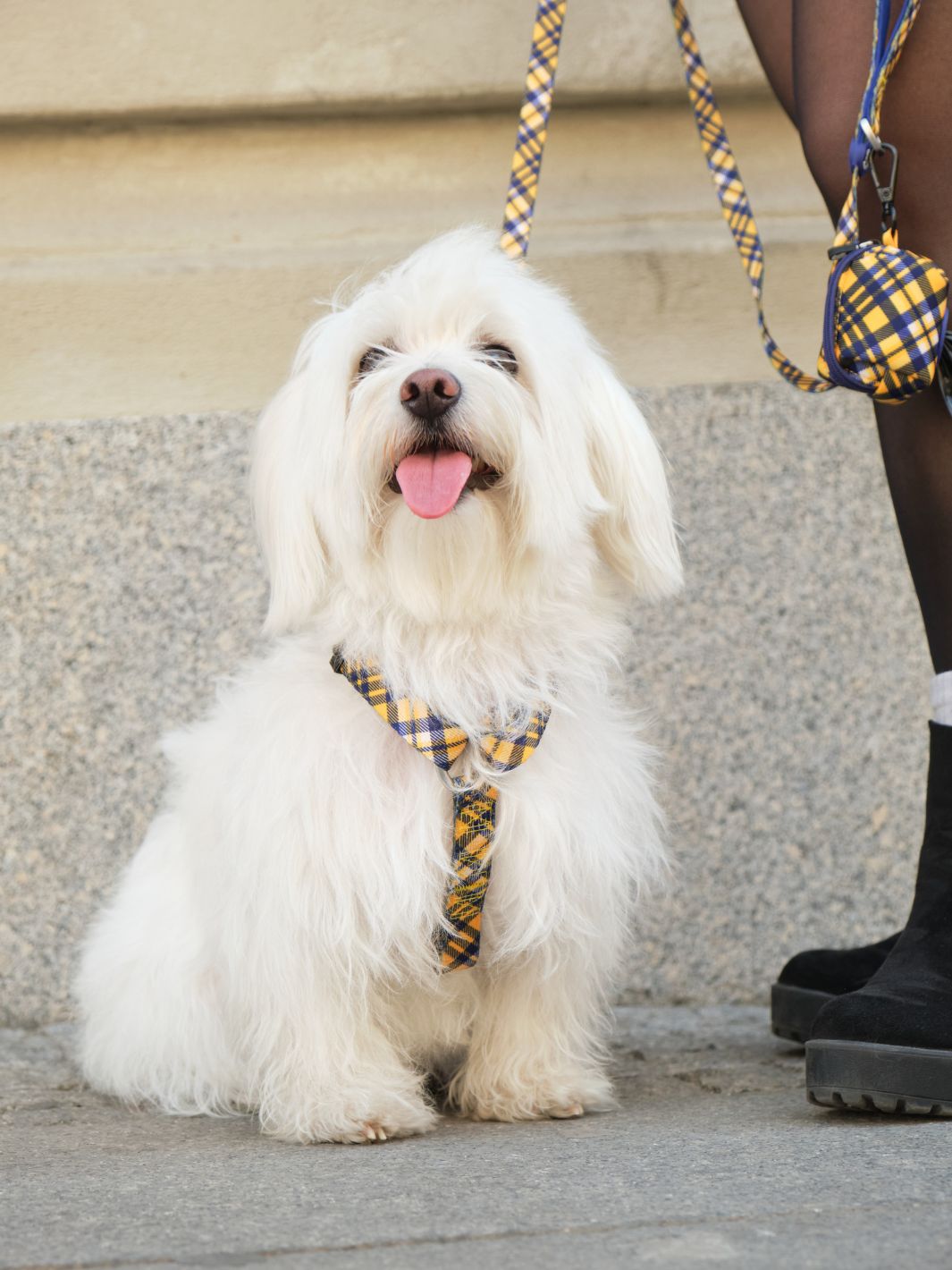 Dukier - Peitoral Clássico Xadrez Mostarda