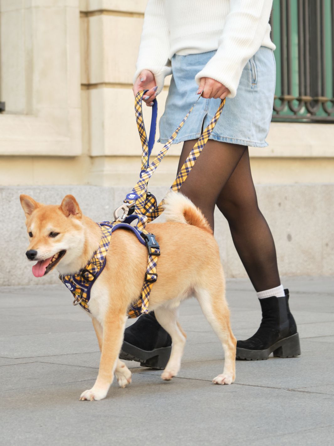 Dukier - Trela Xadrez Mostarda