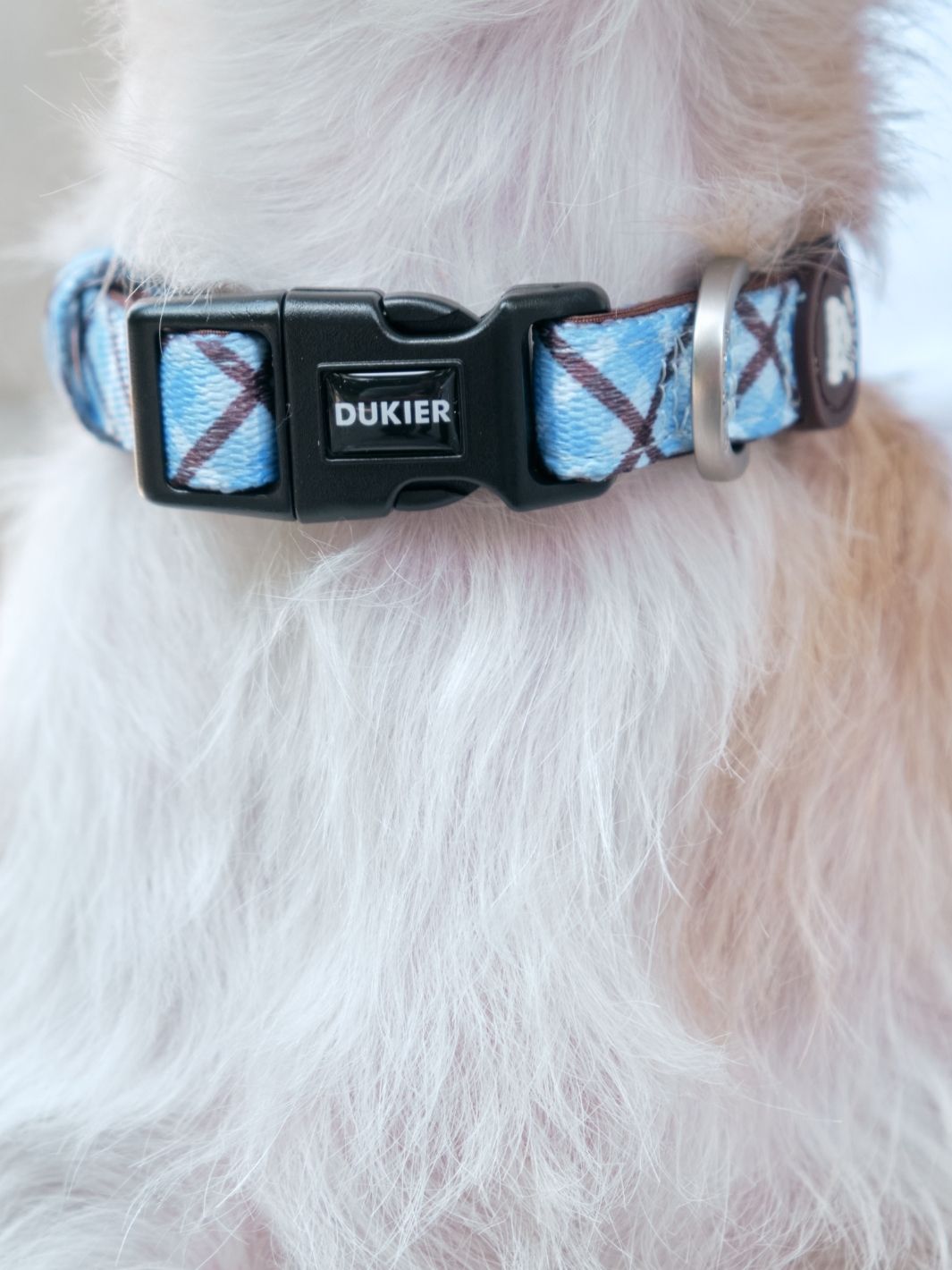 Dukier - Coleira Xadrez Blue Mocca