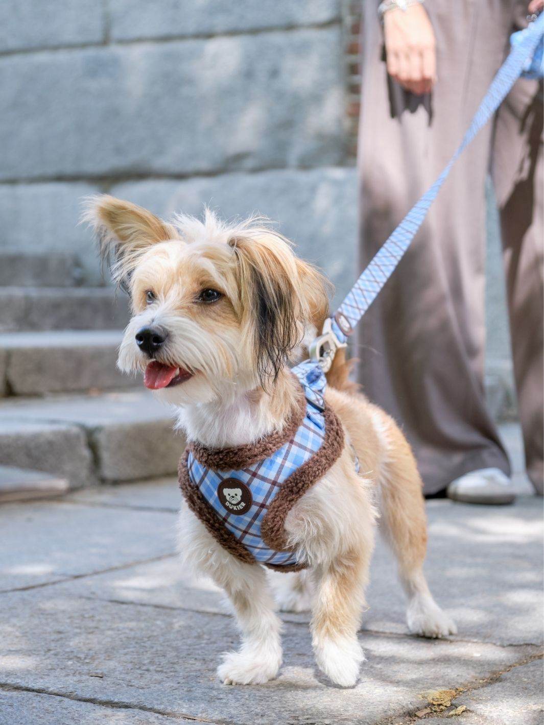 Dukier - Peitoral Ajustável Xadrez Blue Mocca