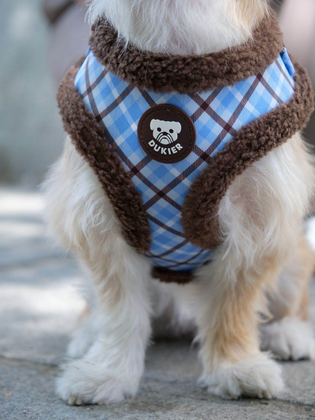 Dukier - Peitoral Ajustável Xadrez Blue Mocca