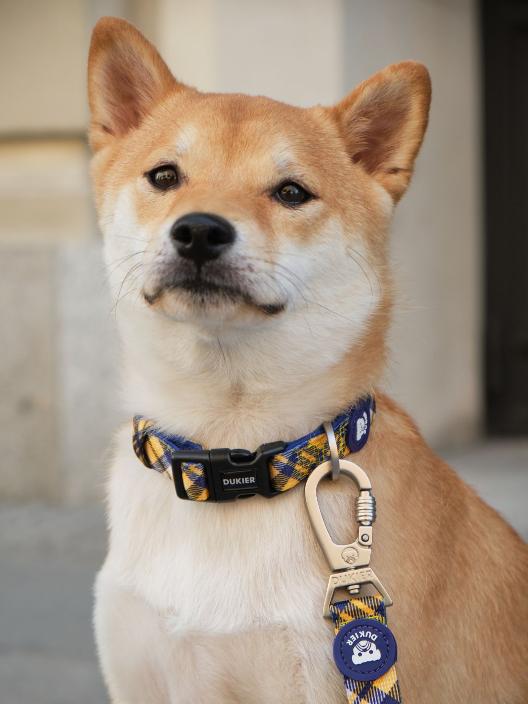 Dukier - Coleira Xadrez Mostarda