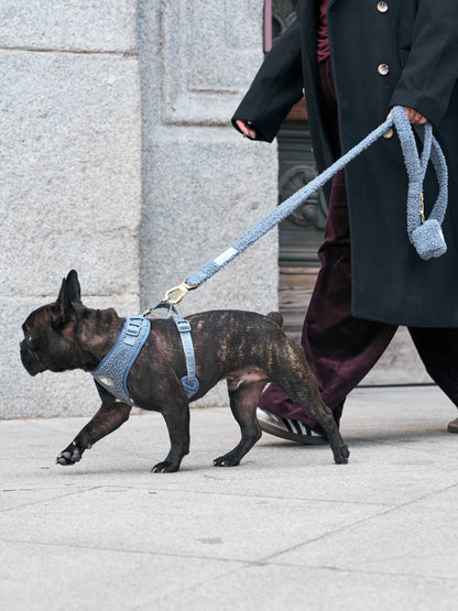 Dukier - Trela Teddy Navy