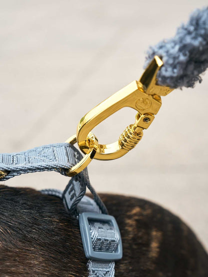 Dukier - Trela Teddy Navy