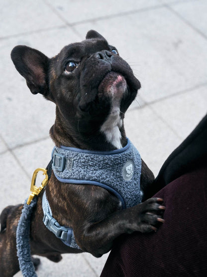 Dukier - Peitoral Ajustável Teddy Navy