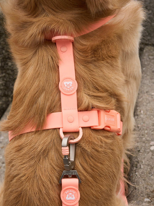 Dukier - Trela Waterproof Coral