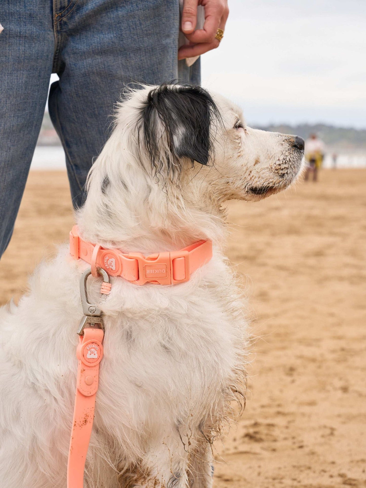 Dukier - Coleira Waterproof Coral