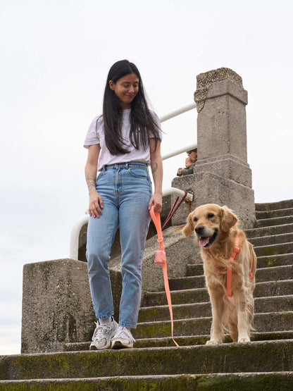 Dukier - Trela Waterproof Coral